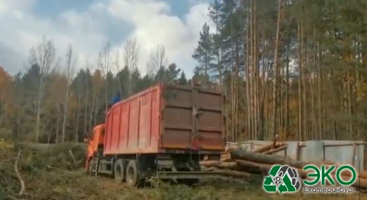 video1